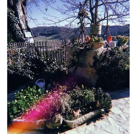 شقة La Casina Di Ancicucco 1 سان جيمينيانو المظهر الخارجي الصورة