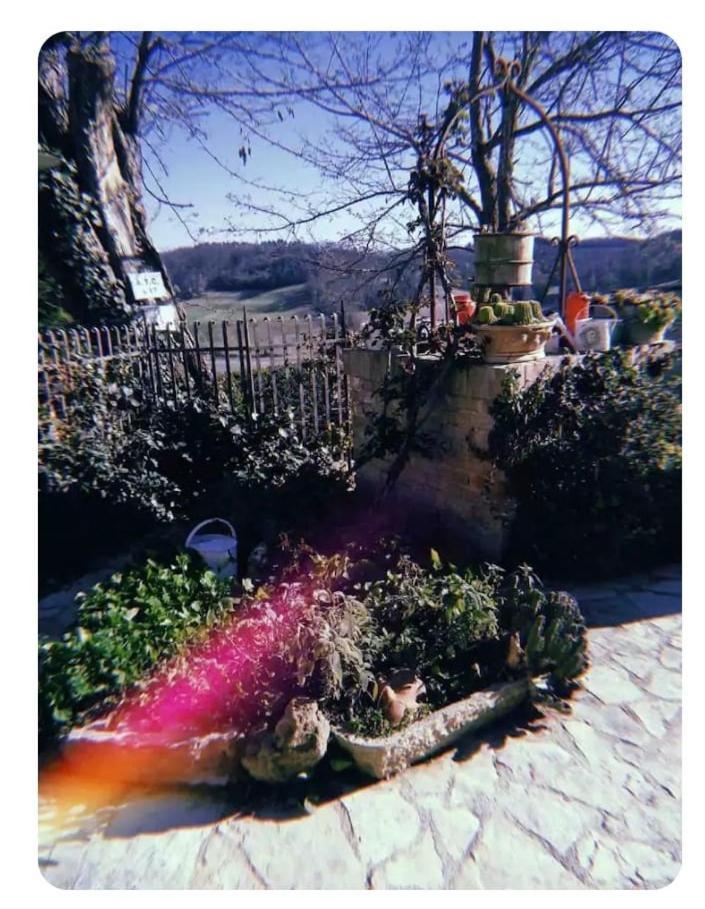 شقة La Casina Di Ancicucco 1 سان جيمينيانو المظهر الخارجي الصورة